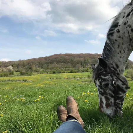 Sintpieter17 Lo-ghis Vakantiewoning *