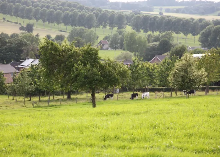 Sintpieter17 Lo-ghis Vakantiewoning * Fourons